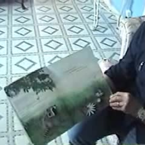 Kissing Hand Spanish Story