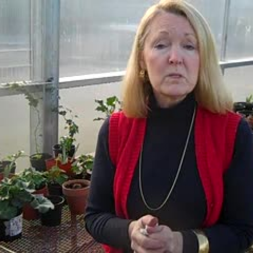 Mrs. Sandahl's Horticulture Class