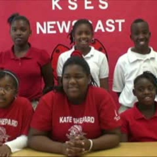 The King Needs Wings!