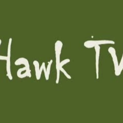 Hawk TV Episode 1