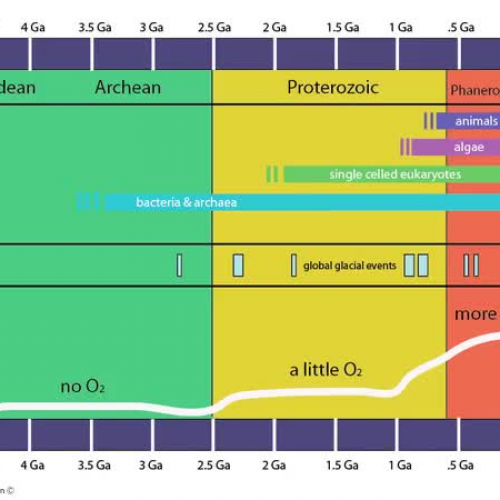 A Tour Through Earth's Geological Timeline
