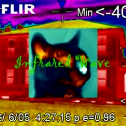 Infrared Waves Project