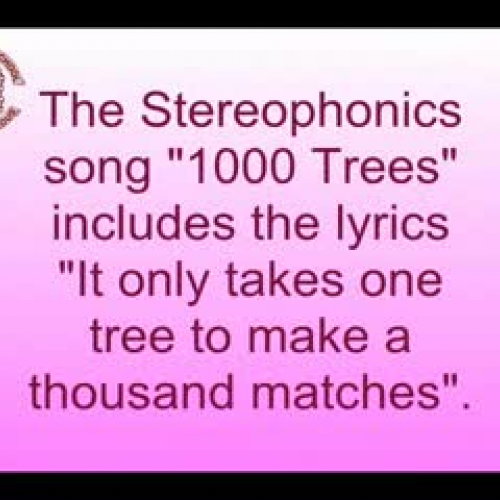 1000 Trees