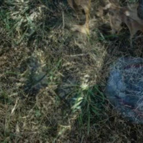 Edgar Prairie Student Photos