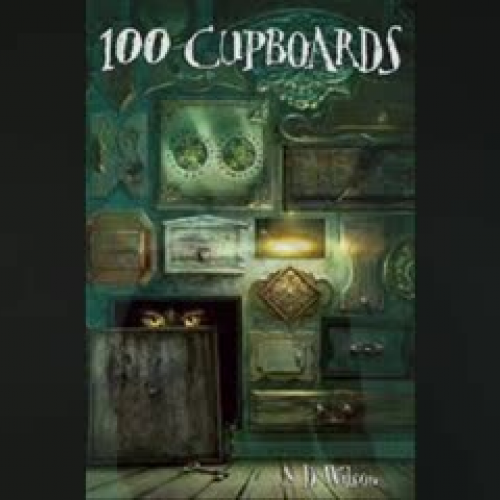 100 Cupboards