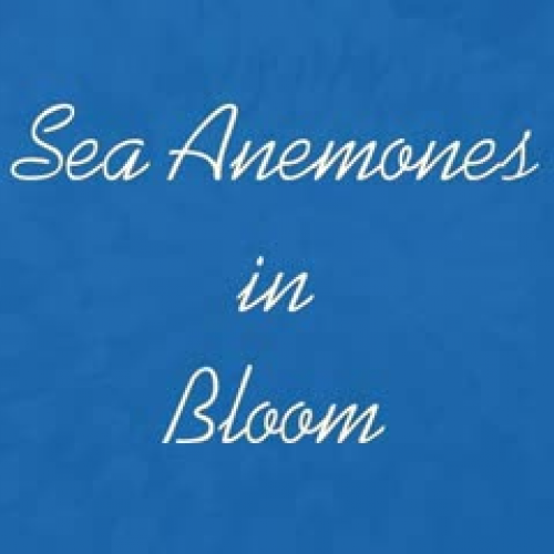 For Your Eyes Only; Sea Anemones Bloom