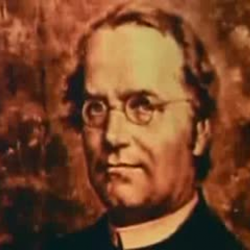 Mendel's Gene Theory Explain