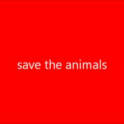 save the animals