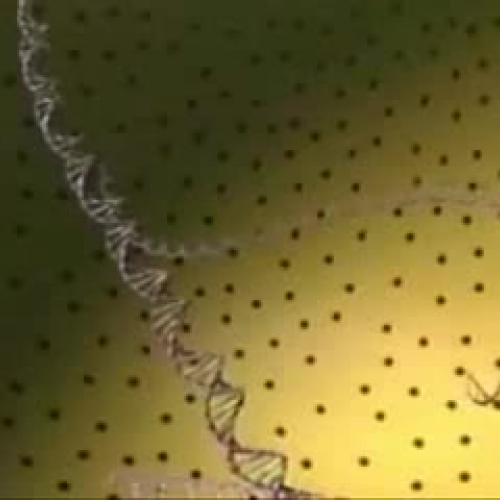 EDIT 202 Sample Video