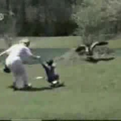 EDIT 202 Sample Video