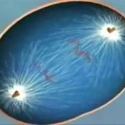 EDIT 202 Sample Video