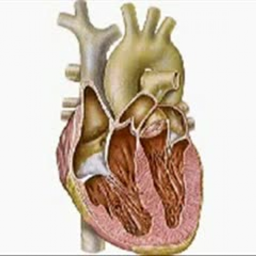 EDIT 202 Sample Video