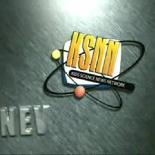 EDIT 202 Sample Video