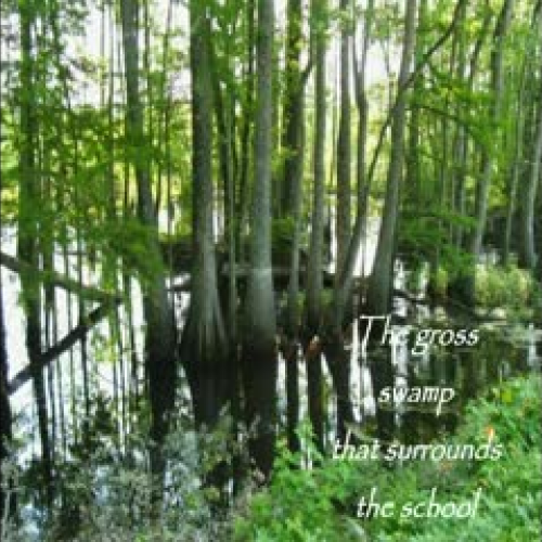 rachels project for mr slekars class