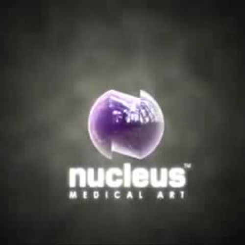 EDIT 202 Sample Video