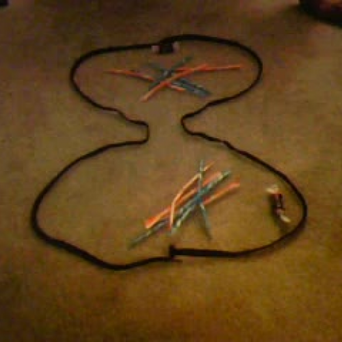 Mitosis Stop Animation