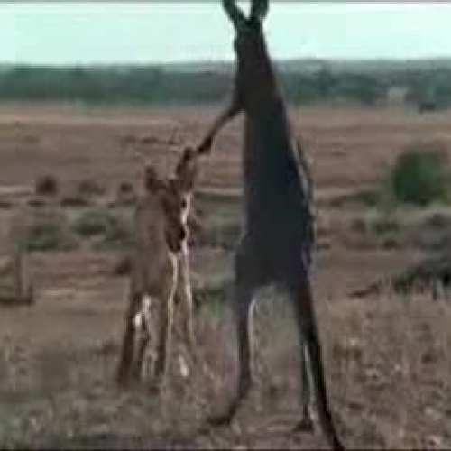 EDIT 202 Sample Video