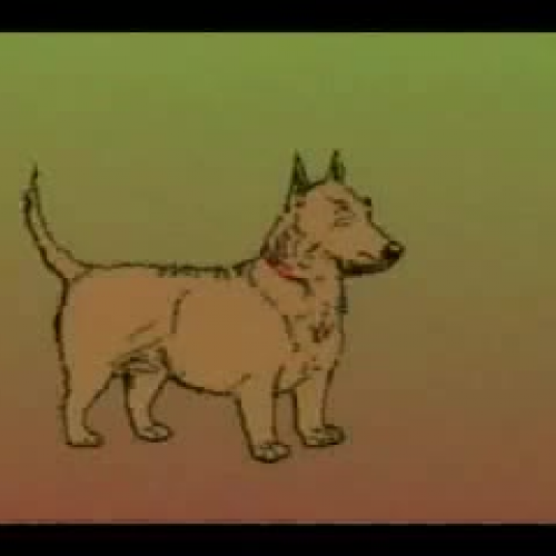 edit 202 sample video