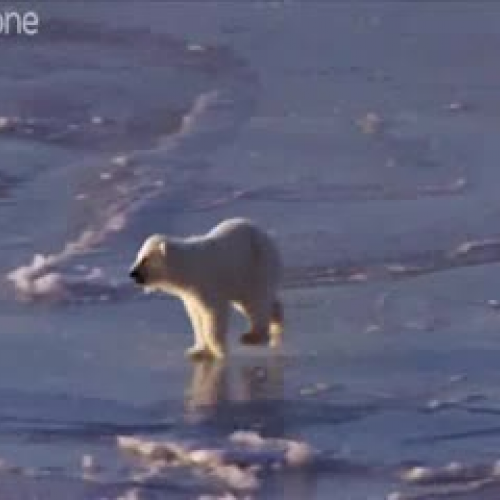 EDIT 202 Sample Video