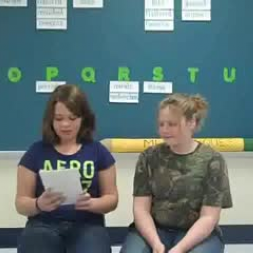 A Bat, a Bear, and a Spider are all Nouns