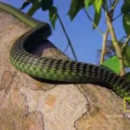 EDIT 202 Sample Video