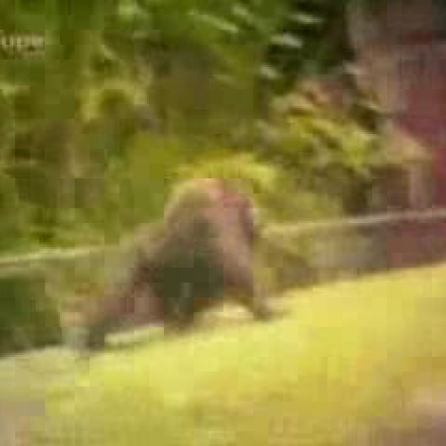 EDIT 202 Sample Video