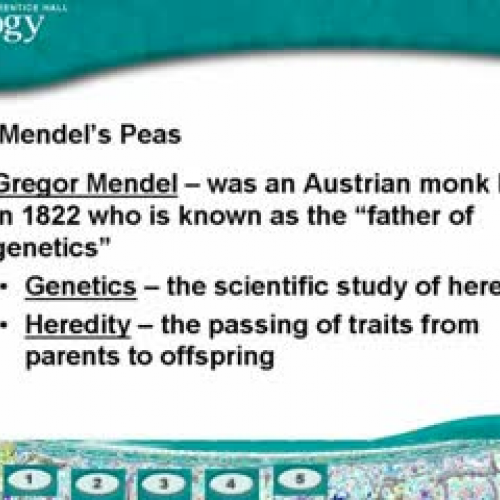 The Work of Gregor Mendell