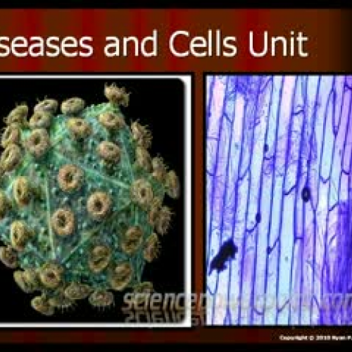 Infectious Diseases and Cells Unit - Download