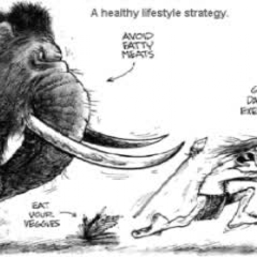 History of Kinesiology