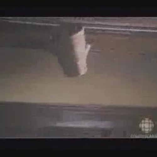 edit 202 sample video