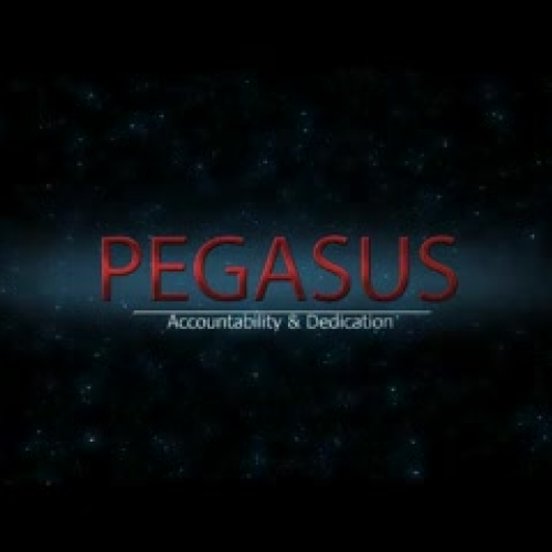 AVHS pegasus logo