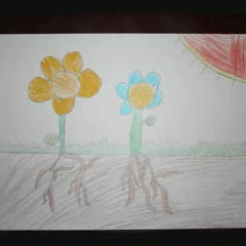 Happy, Healthy Plants