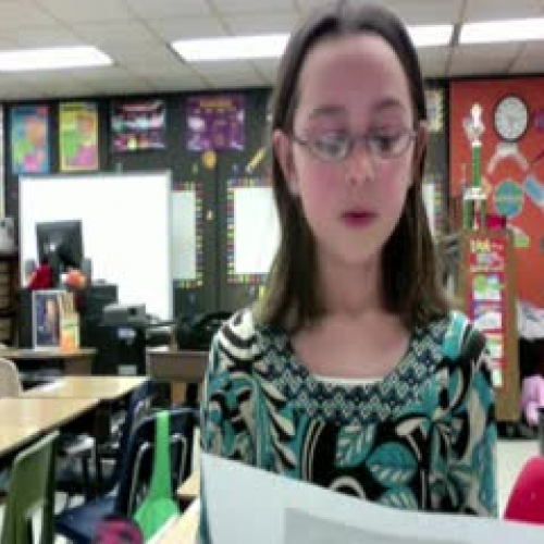 Dinosaurs Love Underpants