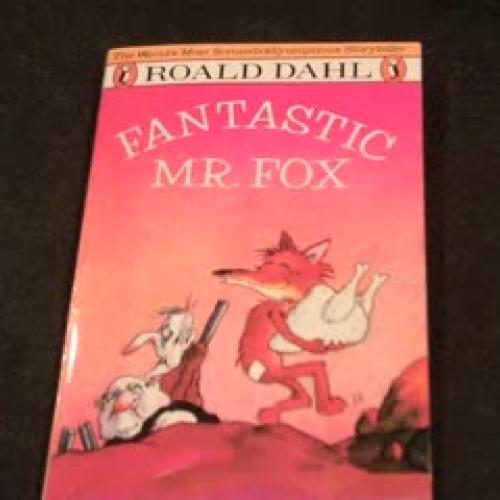 Mr Fox