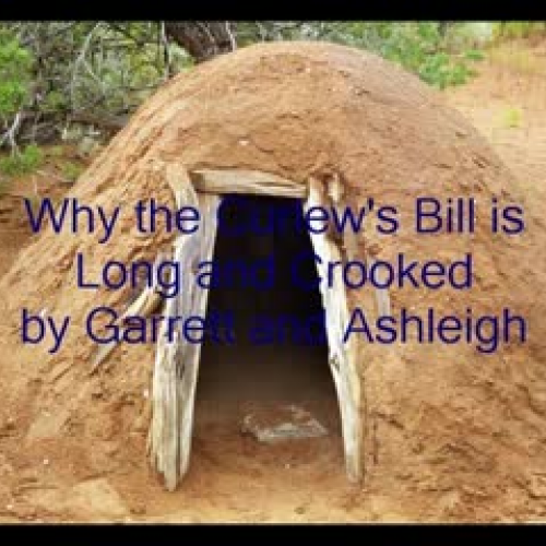 Why the Curlew's Bill is Long and Crooked