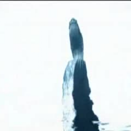 Viking Song by History Teachers Channel