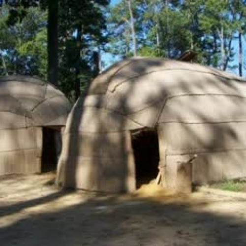 Why The Night Hawks's Wings Are Beautiful