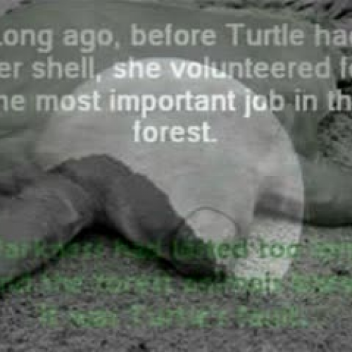 The Turtle and the Skybowl