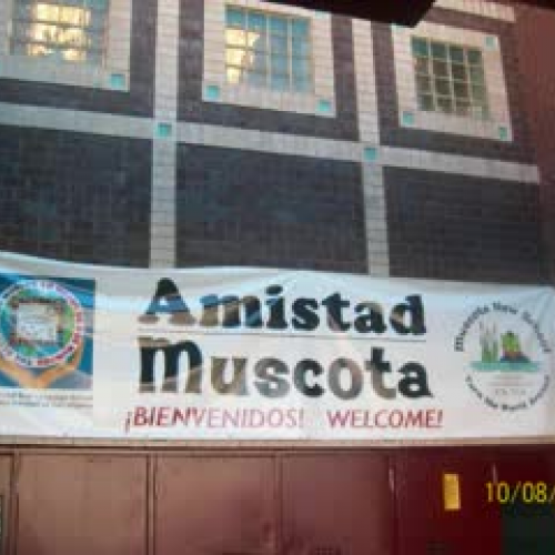 Muscota Narrative Assessment - Goldie Project