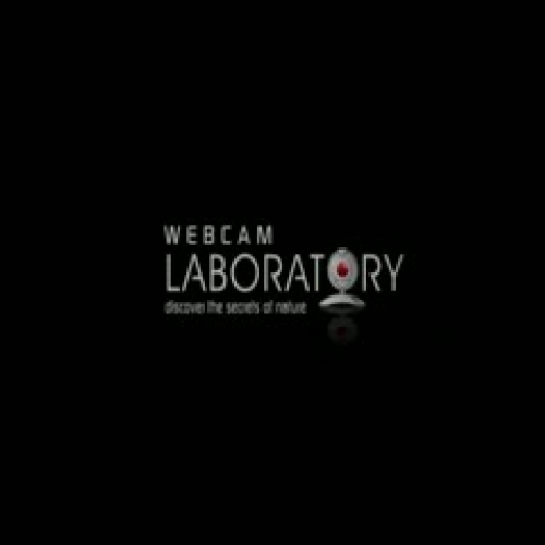 WebCam Laboratory - Six Great Functions