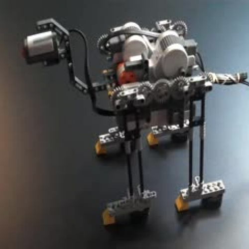 Camel Robot