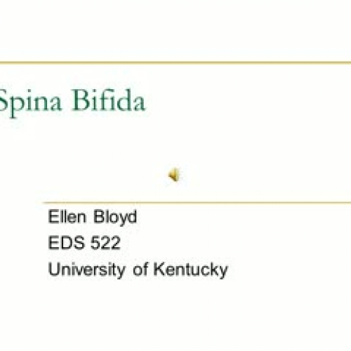 Spina Bifida