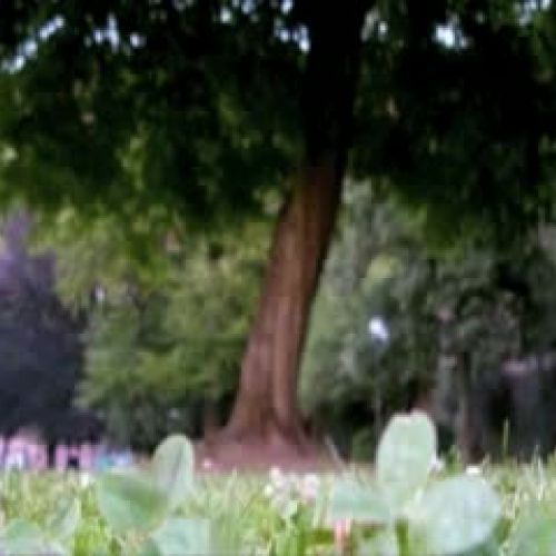 Boy in the Striped Pajamas