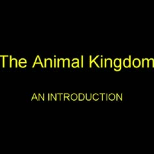 Animal Kingdom Introduction