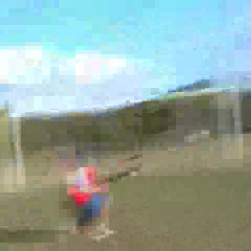 Lots of funny sport video