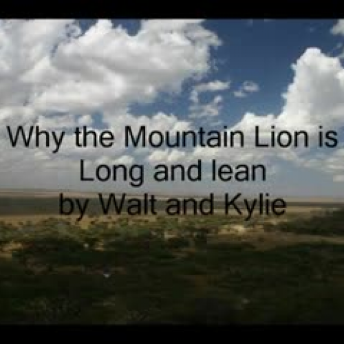 Why the Mountain Lion is Long and Lean