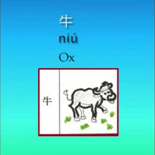 The twelve Zodiac Animals