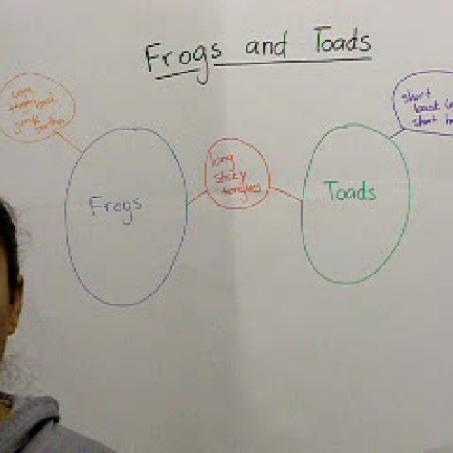 Teaching Strategy APU