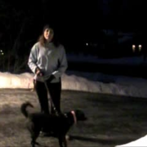 Project 1-Day in the Life