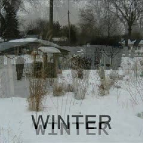 Seasons in the garden